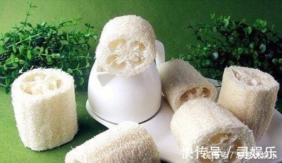 丝瓜网|一味丝瓜络,养生大功效!8大顶级妙用,极少人知道!中医都夸赞