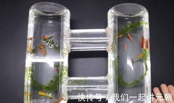 两个大塑料瓶连接起来,放在家里实用又好看,超市买一个要几十元