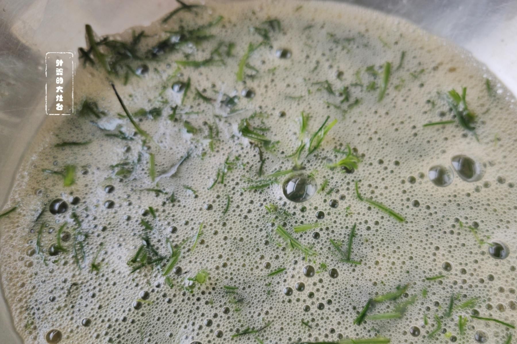 猪毛菜|遇见这个没人要的野菜，一定要多摘一些，简单一炒，别提多香了