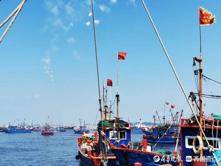 开海遇上开学日！情报员带你直击现场，恭喜|9月1日最佳情报| 李晓强