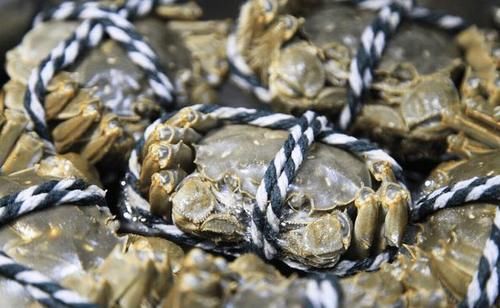 柿子|明日秋分，记得常吃“3果2菜1肉”，补充营养，健康饮食特重要