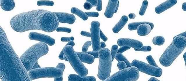 水平 如果有“硅基”生命体,它们在分子水平上就和地球一样吗