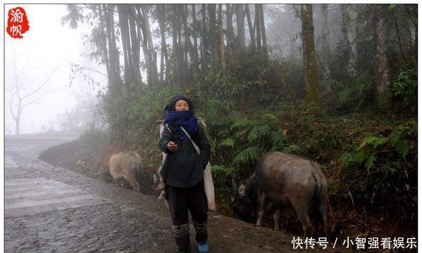 仙境|红河梯田，雾中箐口似仙境