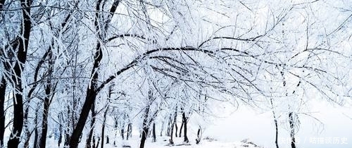 大宴|清朝皇宫大宴唱主角的东北菜,有啥厉害之处?