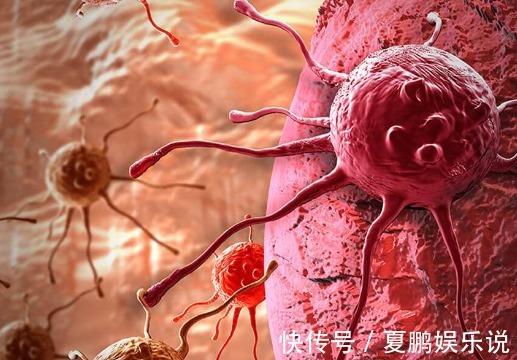 病人|肿瘤也被打败过,具有此条件的病人,肿瘤都可自行消退