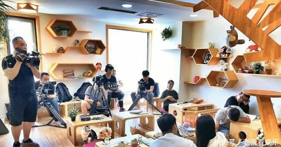 喜欢|一张照片告诉你,能上恋爱节目的素人心理素质有多强