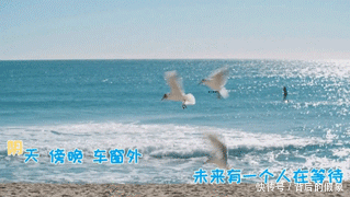 如何使视频歌曲出现字幕?教大家最简单的方法!