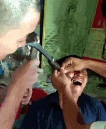 尾巴|收木头回家发现车上有一个尾巴,这是什么哈哈哈哈网友的回复亮了!