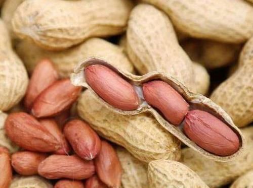 食物|经常食用花生，是减肥还是增肥？看完之后明白了！