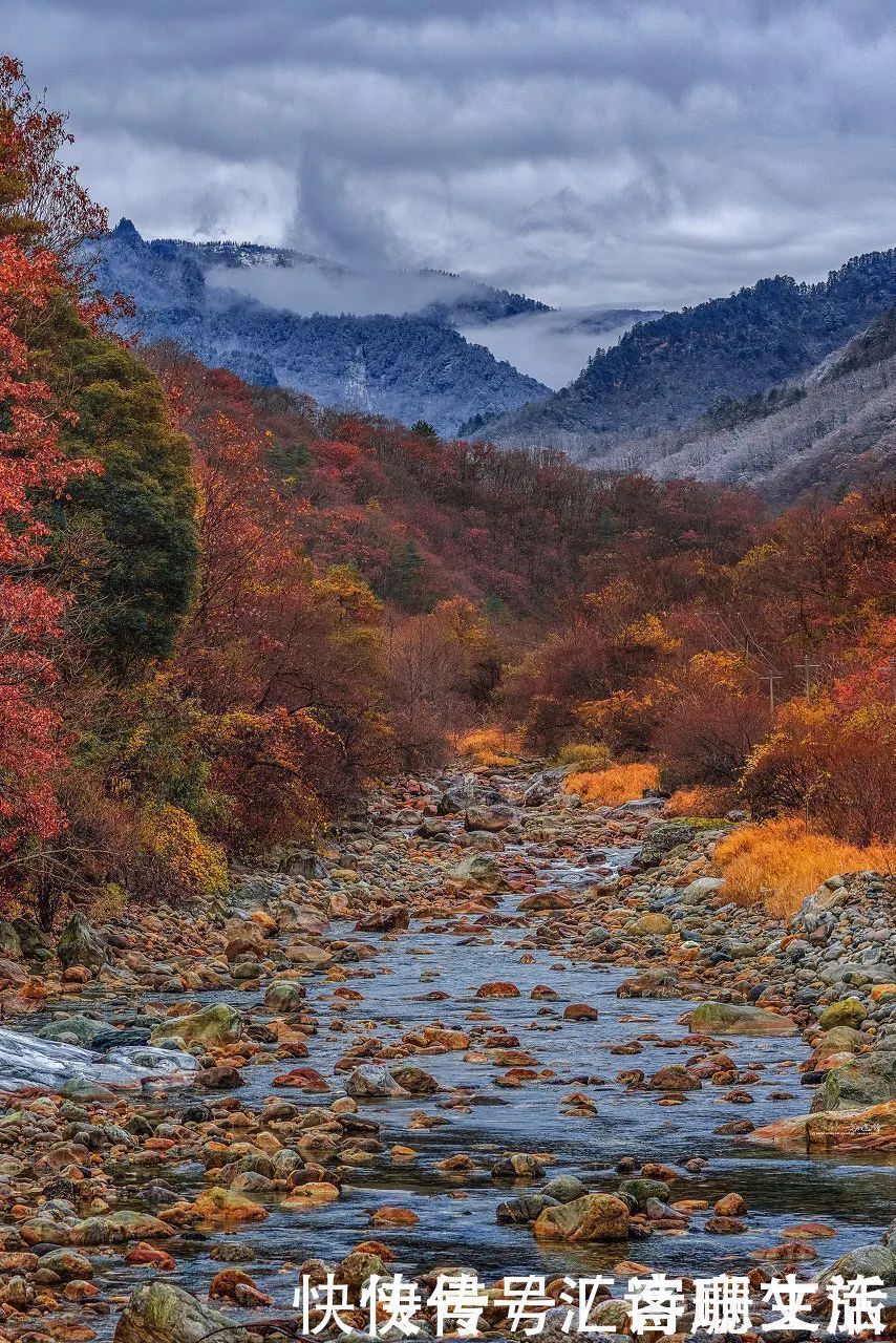 满山|秦岭深处满山红遍，绚丽多彩，惊艳着整个秋天