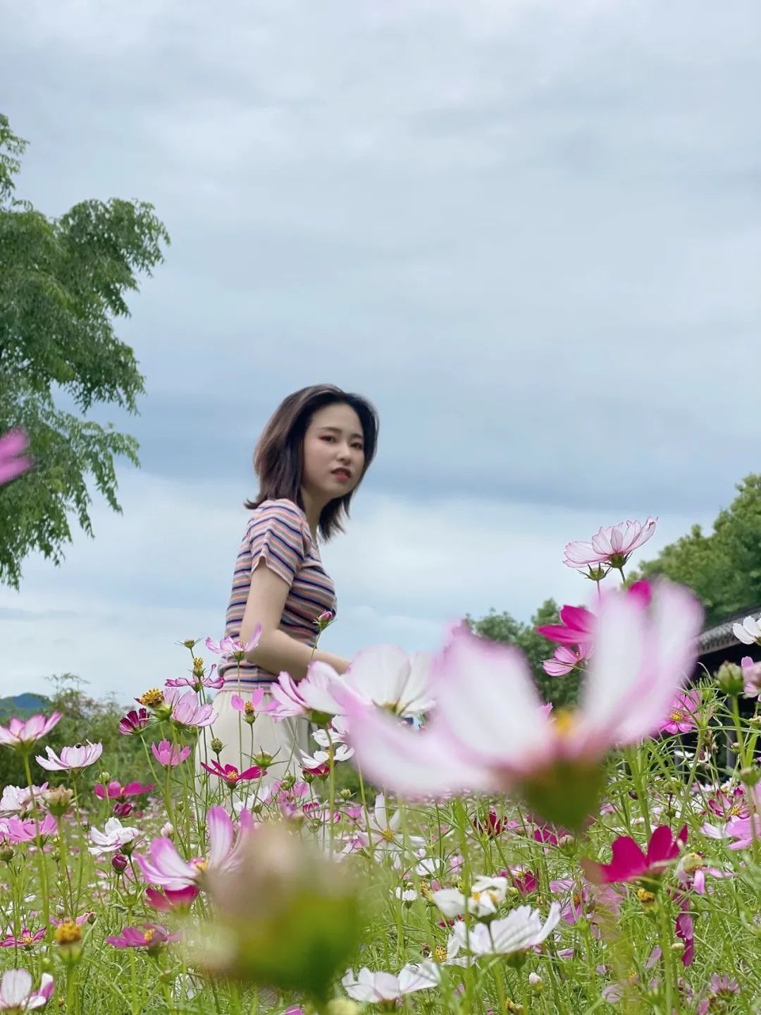 炎炎夏日来啦！赏花、观景、饮茶……带你觅夏凉！