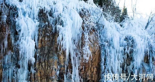 假期|元旦假期看点多 芒砀山开启旅游新特色