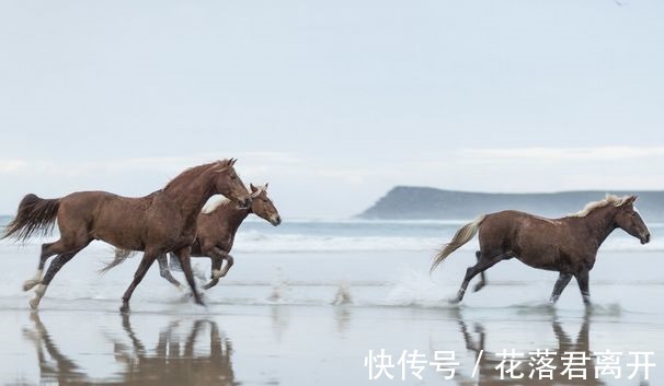 午马人|生死由命，富贵在天“午马人”大难临头，看看怎么回事