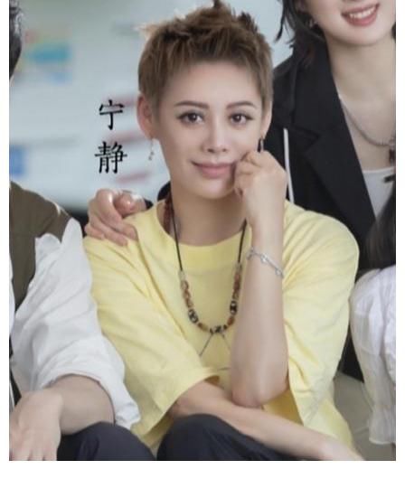 寧靜|《中餐廳5》官宣圖曝光：三男三女排三行，為了不炒CP太拼了