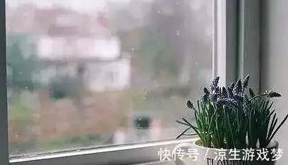 植物|新手养花的常见几个误区,为什么会让植物致命