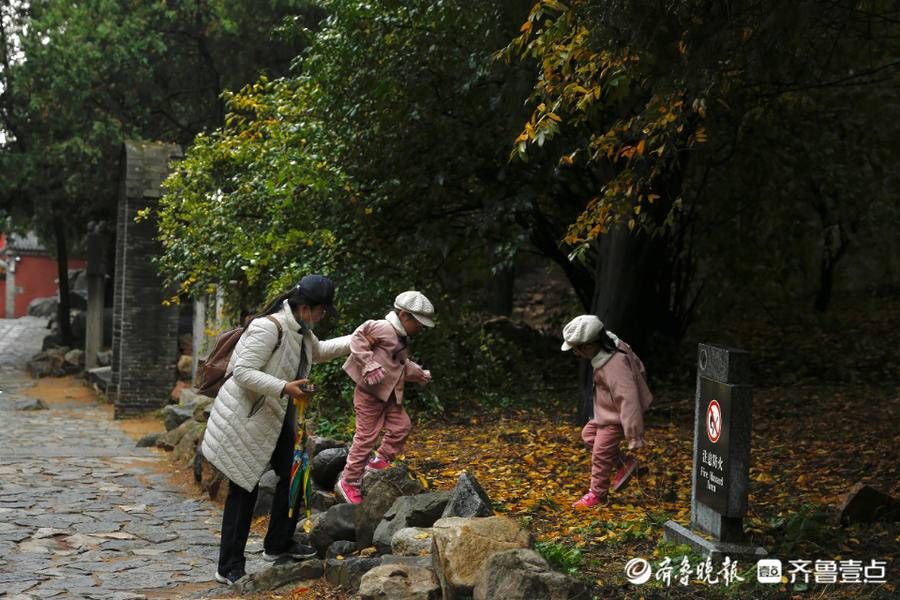 齐鲁壹点|壹图集丨立冬初雪飘，泰山红门别样美