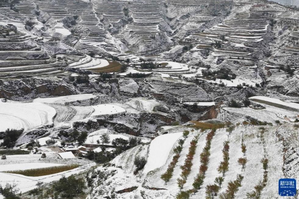 平凉市|雪落甘肃