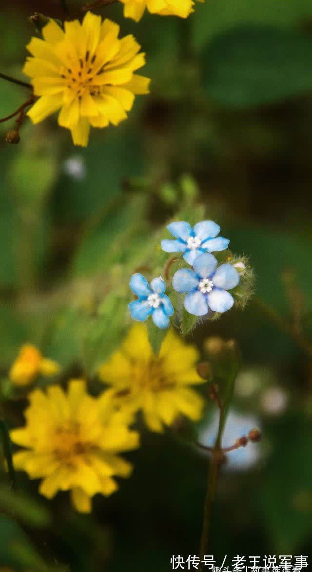 余生|桃花袭来，旧爱回头，难舍难分，重拾爱情，携手度过余生