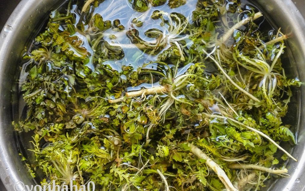 开工后,早餐就爱一碗疙瘩汤,不管贵贱都要吃,荠菜味的特鲜