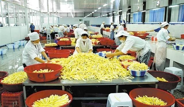 肾脏健康|肝有“五怕”,肾有“三怕”,你若都能避开,恭喜你身体好好的