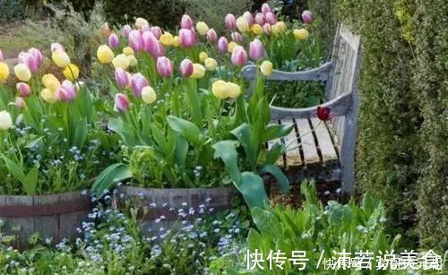 郁金香|7个绝美花园,个个美炸了天,等有钱了我也要建一个