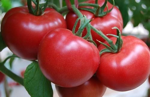 维生素c|女性减肥，推荐多吃以下食物，美容护肤，降压减脂，清理体内毒素