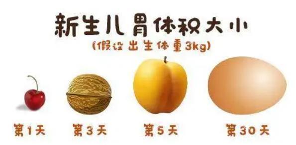 宝宝|新生儿的胃有多大?一张图让你看明白,5方面帮助判断娃是否吃饱