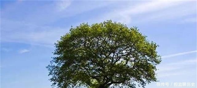 道理|民间俗语“人无癖,不可交”,古人这么说有没有道理呢