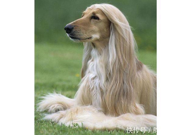 双胞胎最新资讯-快科开元棋牌- 开元棋牌官网 - 开元棋牌APP下载技--科技改变未来