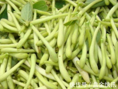 抗炎|天然“阿莫西林”被发现,抗炎止咳不在话下,最重要还好吃