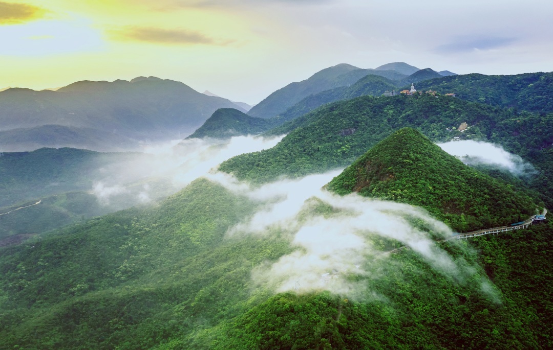 中国医师节|【医路有您 · 山河无恙】今天请脱下白袍，走进东莞观音山，这次换我们来为您服务！