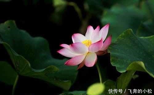 小说|《经典情节20种》之二探险,危险重重的小说情节会更吸引人