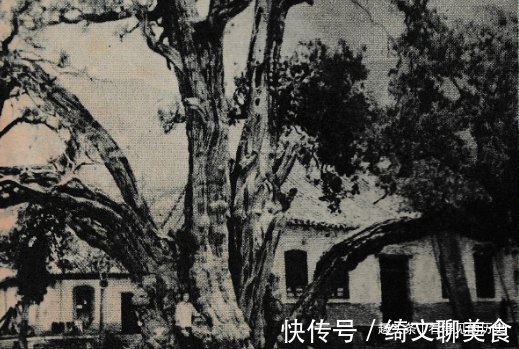 中国佛教|老照片 1978年的中岳嵩山天下第一名刹少林寺