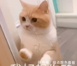 潮流|黃明昊濕發李佳琦嘴瓢,原來這就是「潮流」?