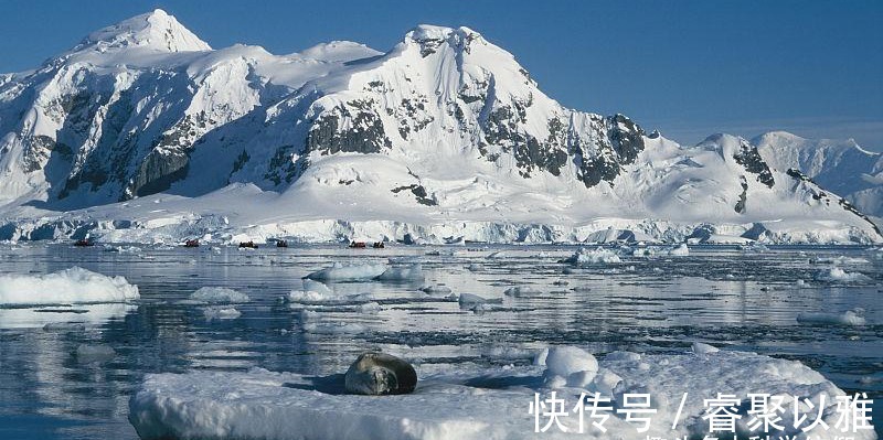 大海深不见底 但并非所有的大海都如此 渤海就是个例外 全网搜