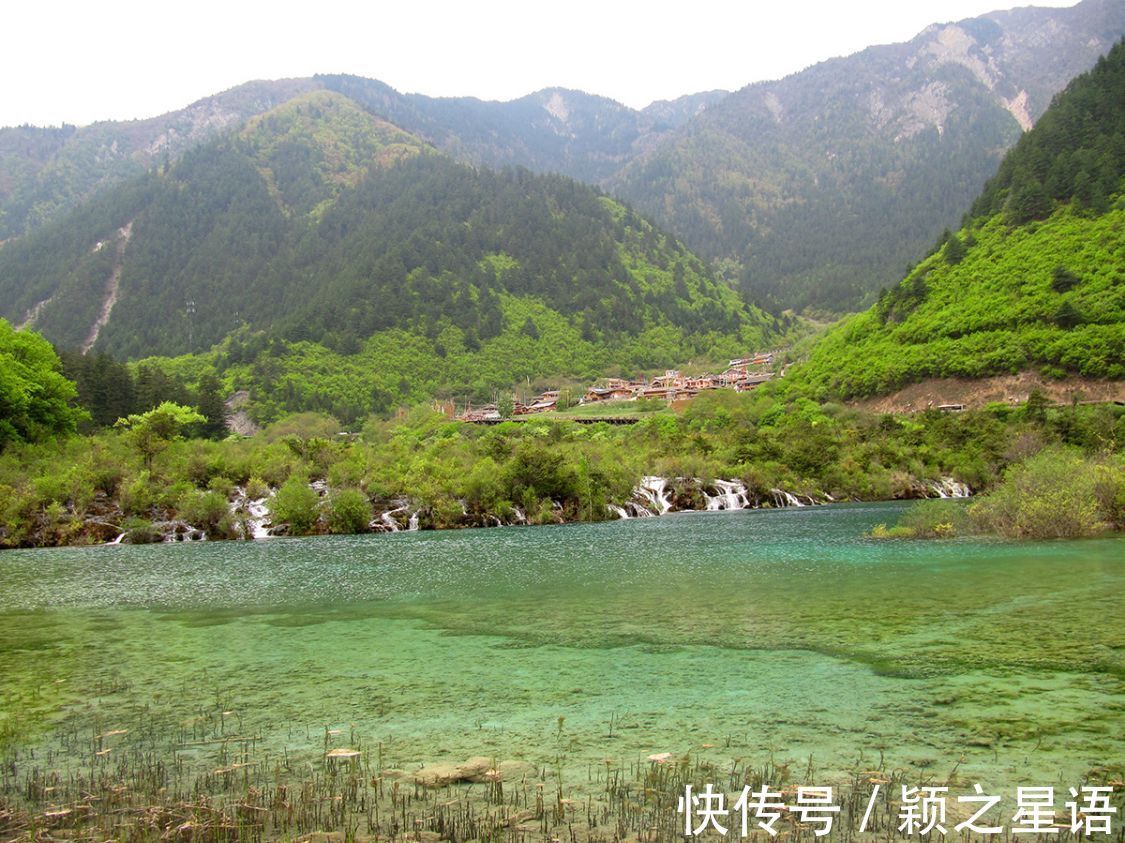 瀑布|游历九寨沟，乘观光车至箭竹海，沿步道赏遍九寨精华