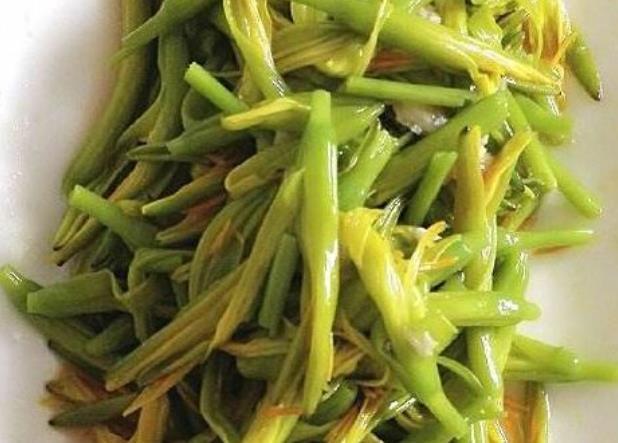 凉拌黄花菜|天热老人脑子不好，经常忘事，吃道补脑菜，补脑健脑，提升记忆力