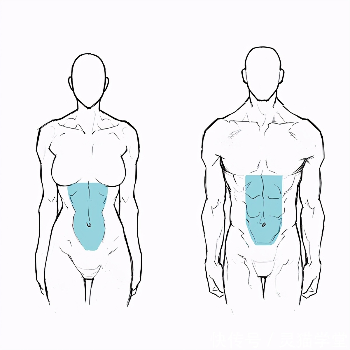 怎么画肌肉发达的女人?教你肌肉发达女性的画法教程!