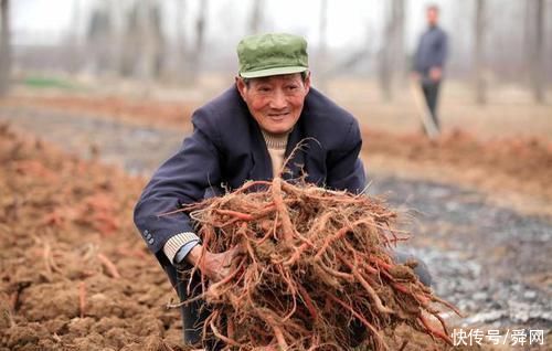 治疗|盘点30位中药之最，学会它，一定不吃亏!