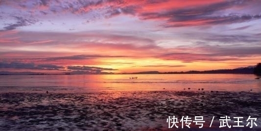 七律#刘长卿水平高超的七律,采用反跌手法,细腻生动,不愧为中唐才子