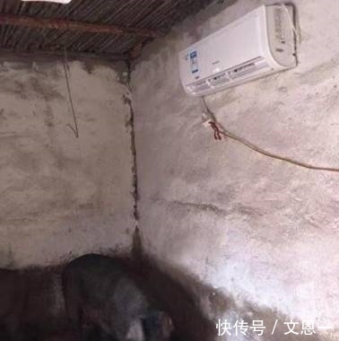 |搞笑图片幽默段子笑话:哈哈哈,妹子你的头发也太长了吧