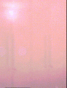 |搞笑GIF趣图:老妈说,男孩子的房间要简单一点,没毛病啊