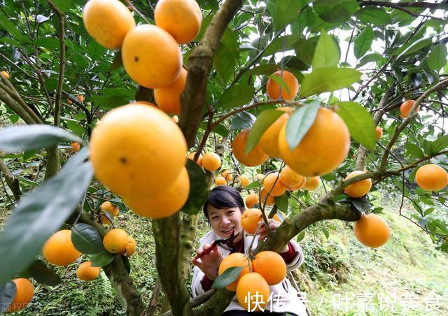 桑葚干|男人一旦过50,烟酒少碰,这些食物可以放开吃,营养极高还不贵