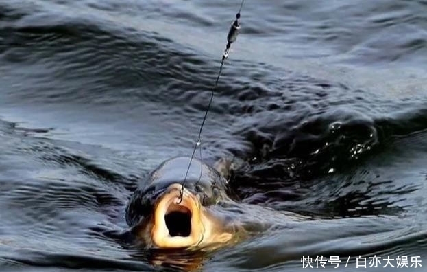 野钓选择钓位的四个思路