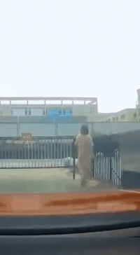 |搞笑GIF趣图:本来是劝大家遇到挫折的时候不要太执着的