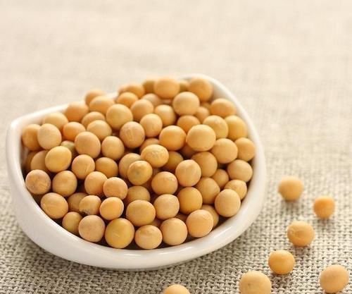 黄豆|坚持做好3个动作,能够增强免疫力,对身体好处多,一起来了解吧