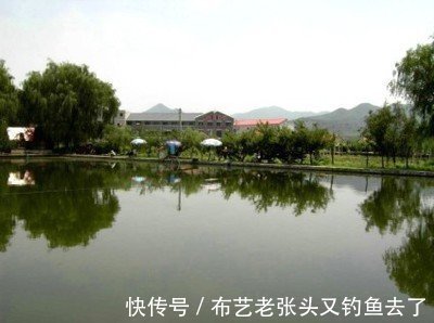 添加剂|你知道钓鱼效果最好小药〔多巴盐〕？高手秘而不宣的密秘添加剂