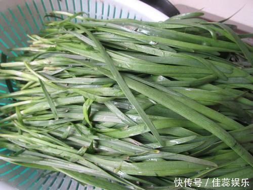 面皮|秋后就爱吃这面食,比饺子简单,比包子好吃,出锅连吃2个,过瘾