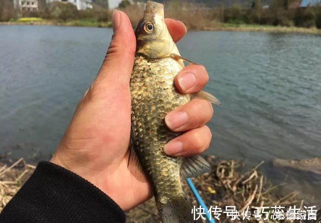 冬季钓鱼到底是晴天好还是雨天好?选对天气才能钓得更多