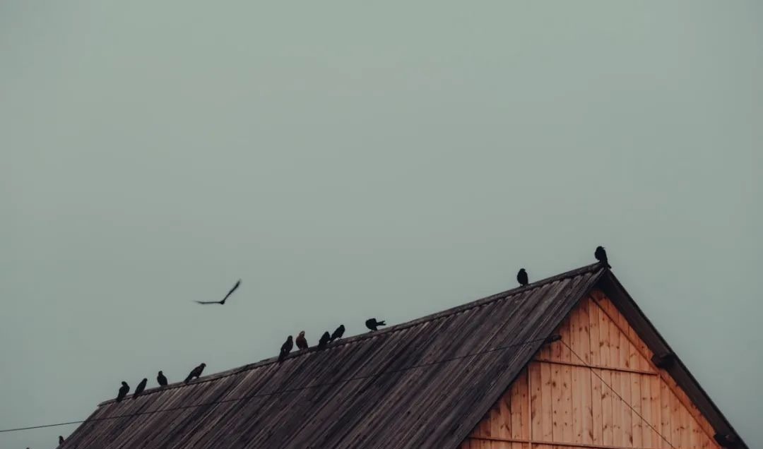 梦一场$元稹千古名句的背后,藏着他最爱的人和最真的情